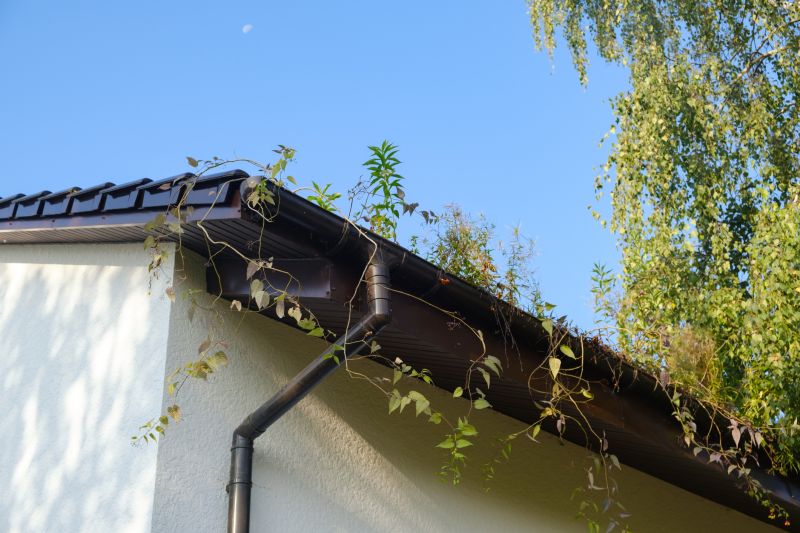 Seamless Metal Gutter Installation